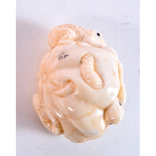 1725 - A JAPANESE BONE FROG OKIMONO. 5 cm x 3.5 cm.