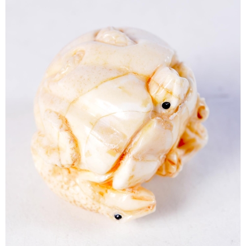 1725 - A JAPANESE BONE FROG OKIMONO. 5 cm x 3.5 cm.