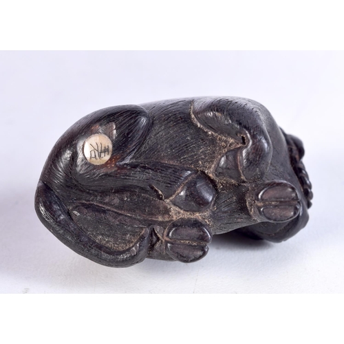 1764 - A JAPANESE CARVED WOOD BULL NETSUKE. 4.5 cm x 3 cm.