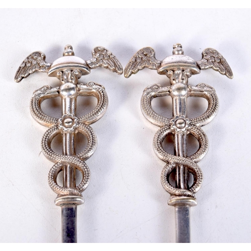 1852 - A PAIR OF UNUSUAL ANTIQUE WHITE METAL MILITARY SERPENT SKEWERS. 51 grams. 15.5 cm x 3.5 cm.