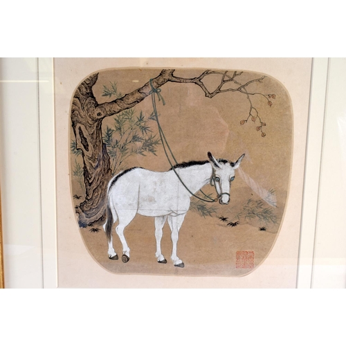 2170 - Chinese School (19th/20th Century) Ink and Watercolour, Standing donkey. 48 cm x 48 cm.