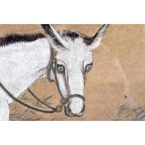 2170 - Chinese School (19th/20th Century) Ink and Watercolour, Standing donkey. 48 cm x 48 cm.