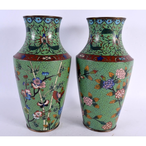 2304 - A PAIR OF 19TH CENTURY CHINESE CLOISONNE ENAMEL VASES decorated with foliage. 25 cm x 10 cm.