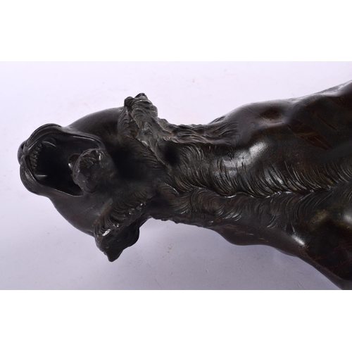 2371 - A LARGE 19TH CENTURY JAPANESE MEIJI PERIOD BRONZE OKIMONO modelled as a roaming tiger, with glass ey... 