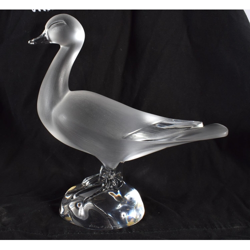 Lot 20        