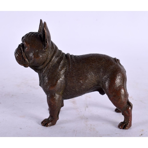 A JAPANESE BRONZE BULL DOG OKIMONO. 7 cm x 7 cm.