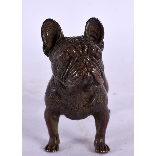 A JAPANESE BRONZE BULL DOG OKIMONO. 7 cm x 7 cm.