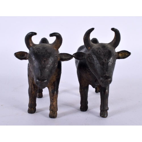 358 - A PAIR OF 18TH/19TH CENTURY INDIAN BRONZE FIGURES OF NANDI BULLS modelled roaming. 11cm x 8 cm.