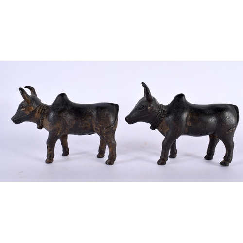 358 - A PAIR OF 18TH/19TH CENTURY INDIAN BRONZE FIGURES OF NANDI BULLS modelled roaming. 11cm x 8 cm.