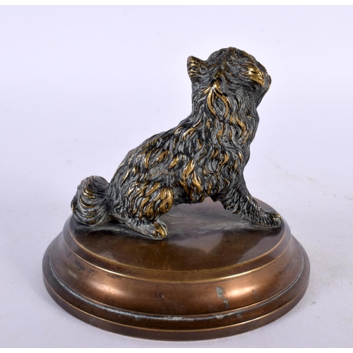 406 - A 19TH CENTURY ENGLISH BRONZE COUNTRY HOUSE TERRIER DOG DESK PAPER WEIGHT. 8 cm wide.