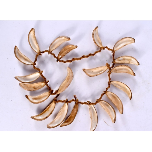 418 - AN AFRICAN TRIBAL CONCH SHELL NECKLACE with original ropework. 80 cm long.