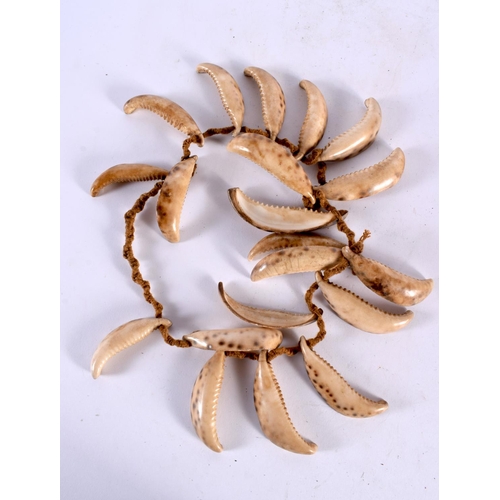 418 - AN AFRICAN TRIBAL CONCH SHELL NECKLACE with original ropework. 80 cm long.