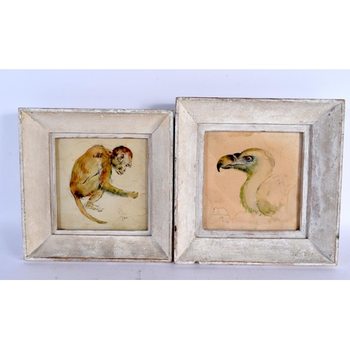 463 - Paul Lemercier (C1943) Pair, Watercolours, Dodo & Monkey. 24 cm square.