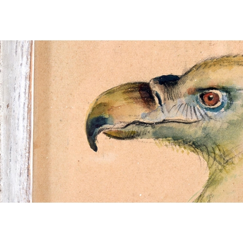 463 - Paul Lemercier (C1943) Pair, Watercolours, Dodo & Monkey. 24 cm square.