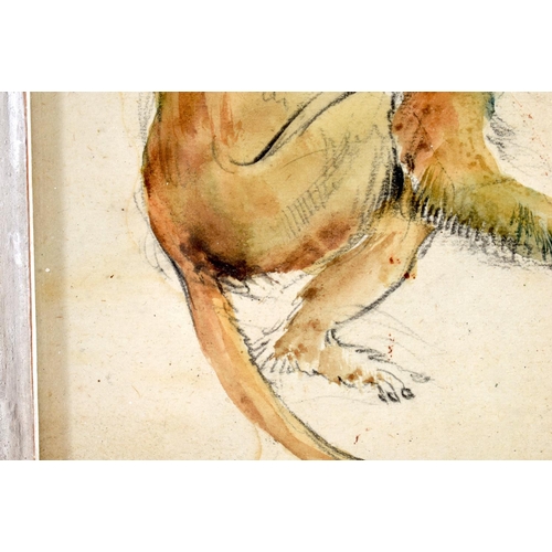 463 - Paul Lemercier (C1943) Pair, Watercolours, Dodo & Monkey. 24 cm square.