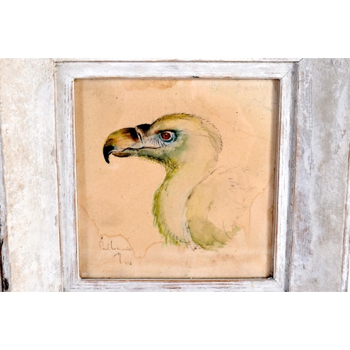 463 - Paul Lemercier (C1943) Pair, Watercolours, Dodo & Monkey. 24 cm square.