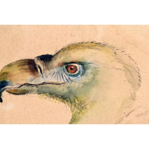 463 - Paul Lemercier (C1943) Pair, Watercolours, Dodo & Monkey. 24 cm square.