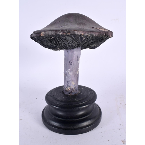 620 - A FOLK ART CARVED AND PAINTED WOOD MUSHROOM SPECIMEN. 17 cm high.