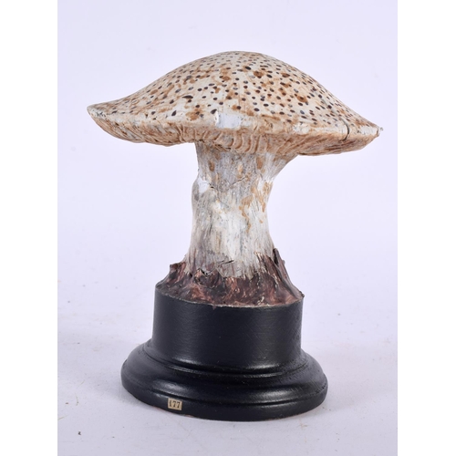 622 - A FOLK ART CARVED AND PAINTED WOOD MUSHROOM SPECIMEN. 14cm high.