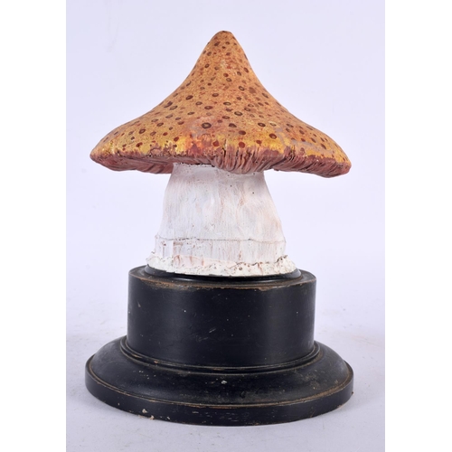 623 - A FOLK ART CARVED AND PAINTED WOOD MUSHROOM SPECIMEN. 20cm high.