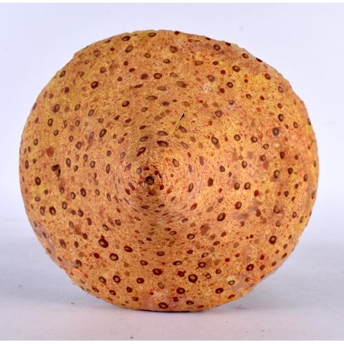 623 - A FOLK ART CARVED AND PAINTED WOOD MUSHROOM SPECIMEN. 20cm high.