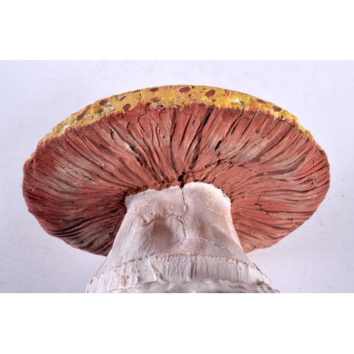 623 - A FOLK ART CARVED AND PAINTED WOOD MUSHROOM SPECIMEN. 20cm high.