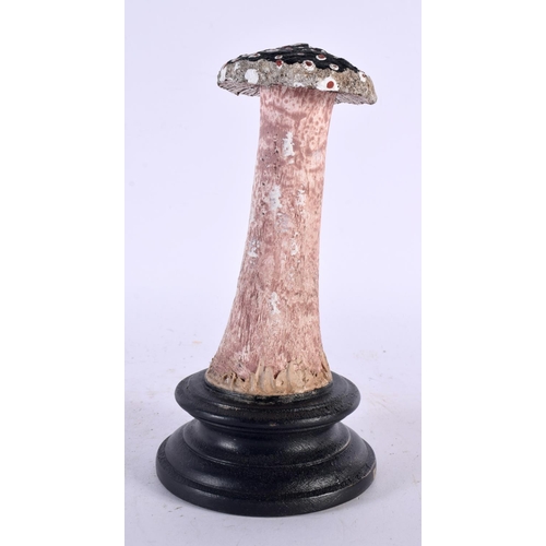 624 - A FOLK ART CARVED AND PAINTED WOOD MUSHROOM SPECIMEN. 20cm high.