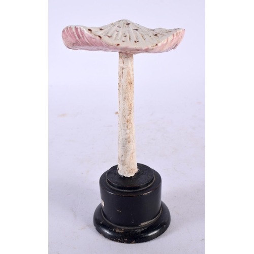 627 - A FOLK ART CARVED AND PAINTED WOOD MUSHROOM SPECIMEN. 15cm high.