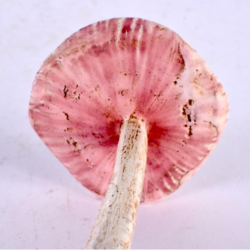 627 - A FOLK ART CARVED AND PAINTED WOOD MUSHROOM SPECIMEN. 15cm high.