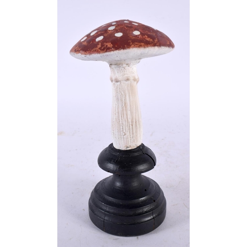 628 - A FOLK ART CARVED AND PAINTED WOOD MUSHROOM SPECIMEN. 15cm high.