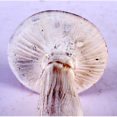 628 - A FOLK ART CARVED AND PAINTED WOOD MUSHROOM SPECIMEN. 15cm high.