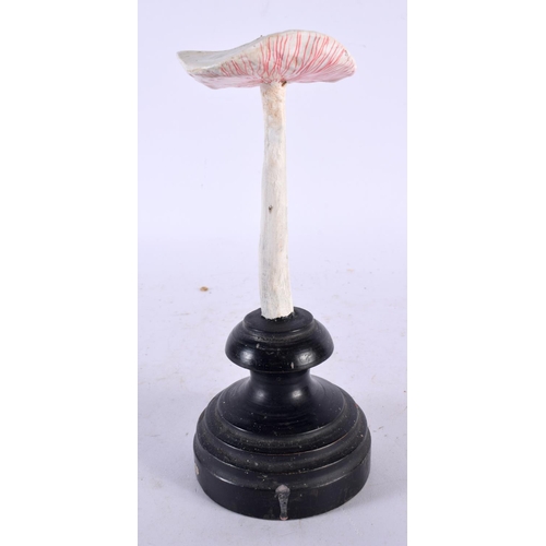 630 - A FOLK ART CARVED AND PAINTED WOOD MUSHROOM SPECIMEN. 18 high.