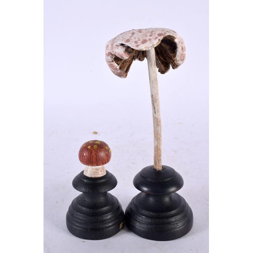 631 - TWO FOLK ART CARVED AND PAINTED WOOD MUSHROOM SPECIMENS. 14cm high. (2)