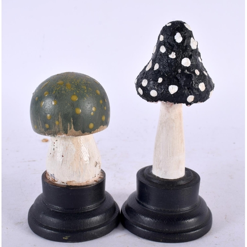 632 - TWO FOLK ART CARVED AND PAINTED WOOD MUSHROOM SPECIMENS. 14cm high. (2)