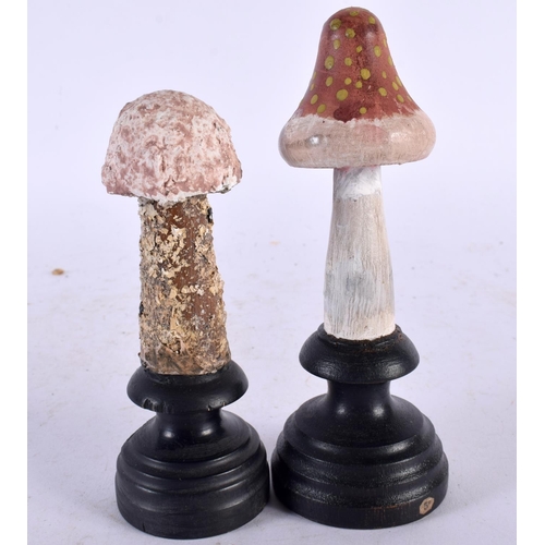 633 - TWO FOLK ART CARVED AND PAINTED WOOD MUSHROOM SPECIMENS. 14cm high. (2)