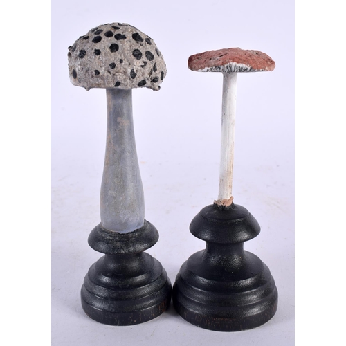 634 - TWO FOLK ART CARVED AND PAINTED WOOD MUSHROOM SPECIMENS. 14cm high. (2)