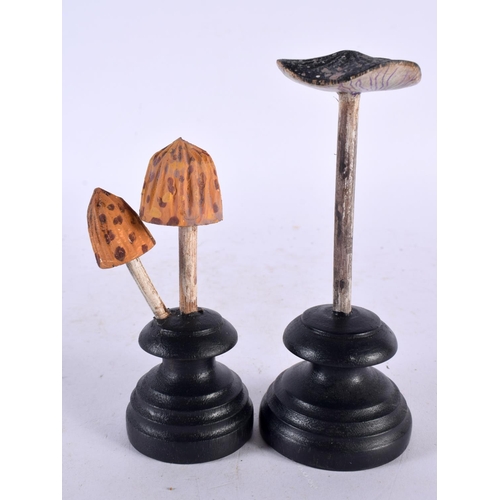 635 - TWO FOLK ART CARVED AND PAINTED WOOD MUSHROOM SPECIMENS. 14cm high. (2)