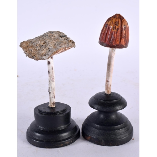 636 - TWO FOLK ART CARVED AND PAINTED WOOD MUSHROOM SPECIMENS. 14cm high. (2)