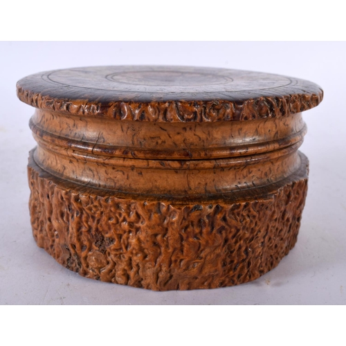 649 - A CHARMING 19TH CENTURY SCOTTISH BURR WOOD TREEN TABLE SNUFF BOX AND COVER of naturalistic form. 13.... 