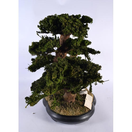 667 - AN EXOFLOR HAND MADE SPANISH BONSAI TREE. 45cm x 42 cm.