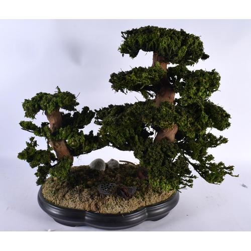 667 - AN EXOFLOR HAND MADE SPANISH BONSAI TREE. 45cm x 42 cm.