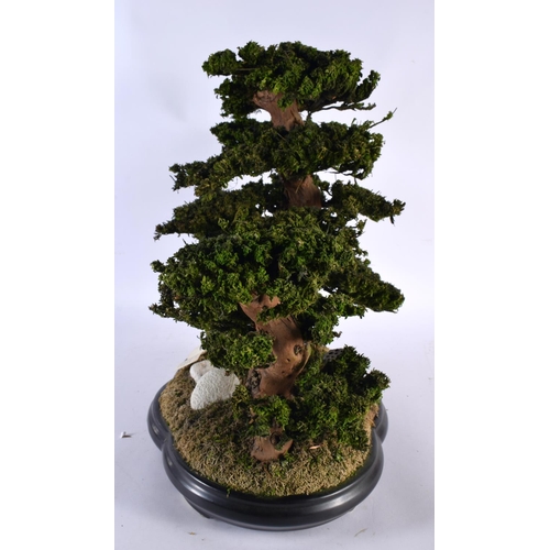 667 - AN EXOFLOR HAND MADE SPANISH BONSAI TREE. 45cm x 42 cm.