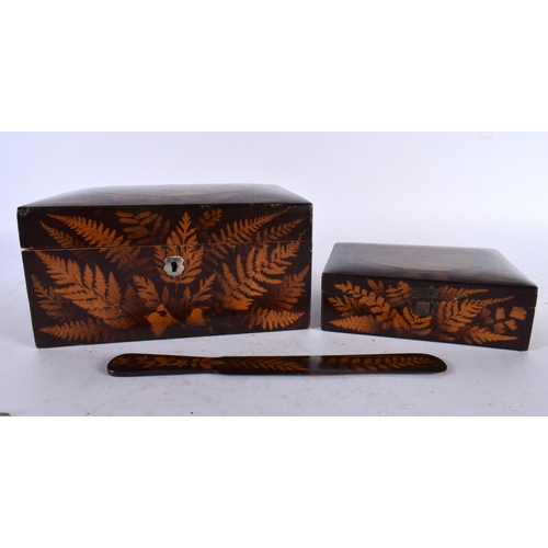 690 - A VICTORIAN FERNWARE TREEN JEWELLERY BOX together with a smaller box and letter opener. Largest 21 c... 