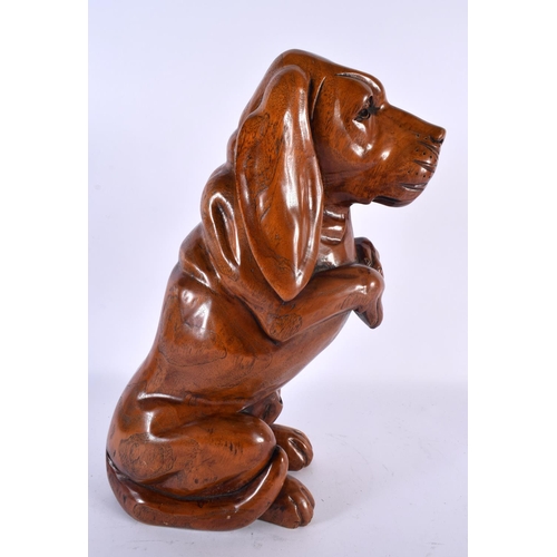 715 - A LARGE EARLY 20TH CENTURY CARVED WOOD FIGURE OF A BEGGING HOUND C1900. 34 cm high.