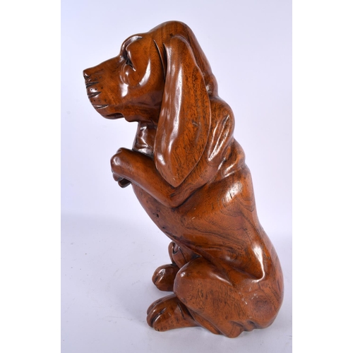 715 - A LARGE EARLY 20TH CENTURY CARVED WOOD FIGURE OF A BEGGING HOUND C1900. 34 cm high.