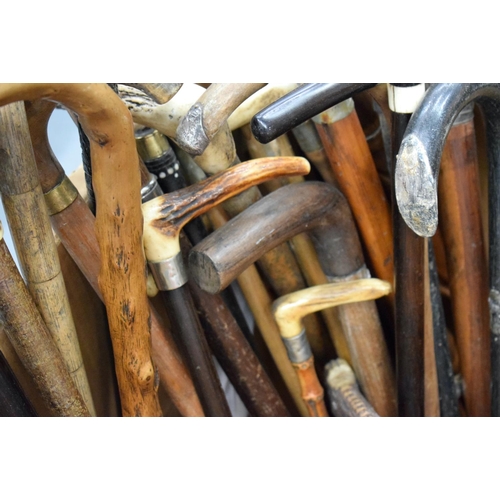 759 - A LARGE COLLECTION OF MAINLY ANTIQUE WALKING CANES. (qty)