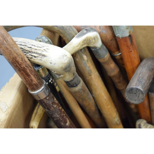 759 - A LARGE COLLECTION OF MAINLY ANTIQUE WALKING CANES. (qty)