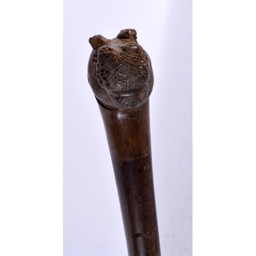 817 - AN ANTIQUE BRONZE LION HEAD WALKING CANE together with a hippo cane. Largest 90cm long. (2)