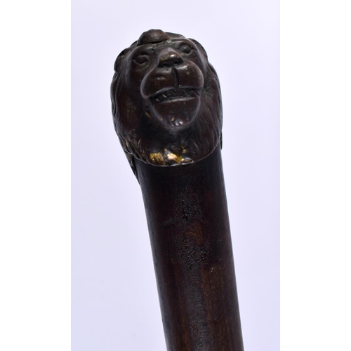 817 - AN ANTIQUE BRONZE LION HEAD WALKING CANE together with a hippo cane. Largest 90cm long. (2)