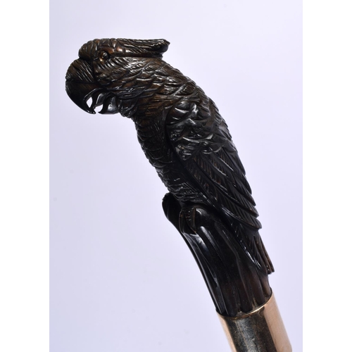 818 - A CARVED HORN PARROT HEAD WALKING CANE. 90cm long.